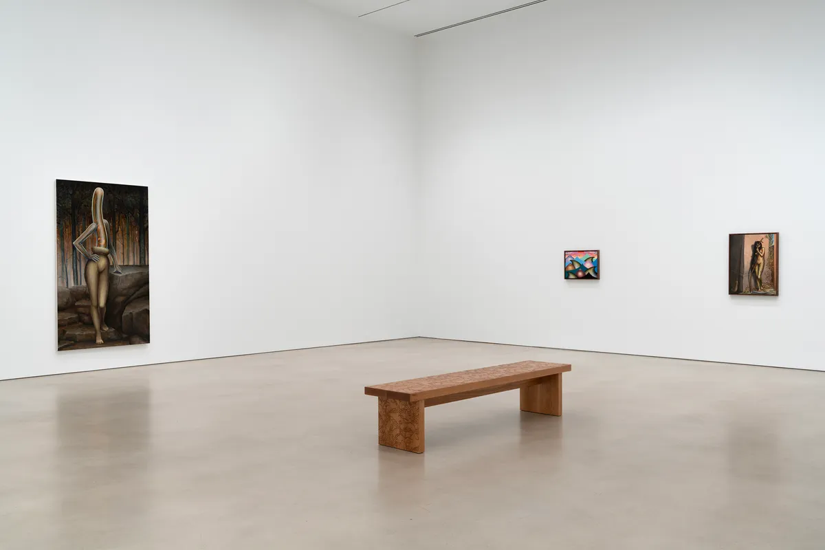 Installation view of Emily Mae Smith: Transit of Venus