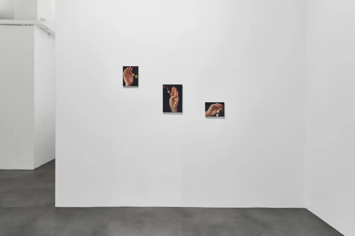 Installation view of Evgeniya Pankratova: Specie di spazi