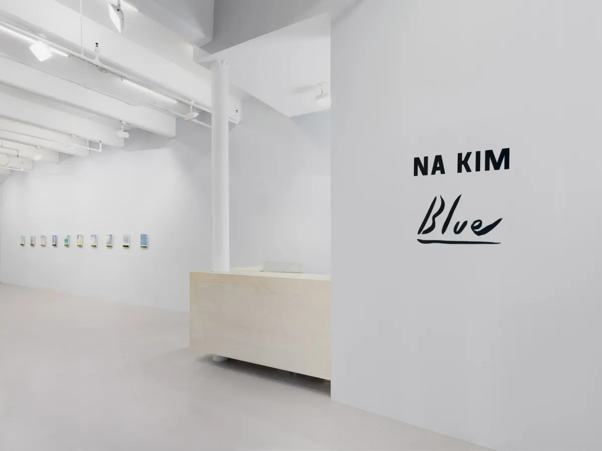 Installation view of Na Kim: Blue
