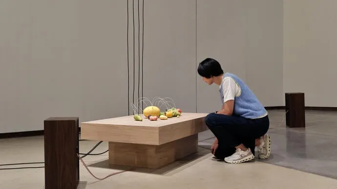 Installation view of Yuko Mohri: In Concert