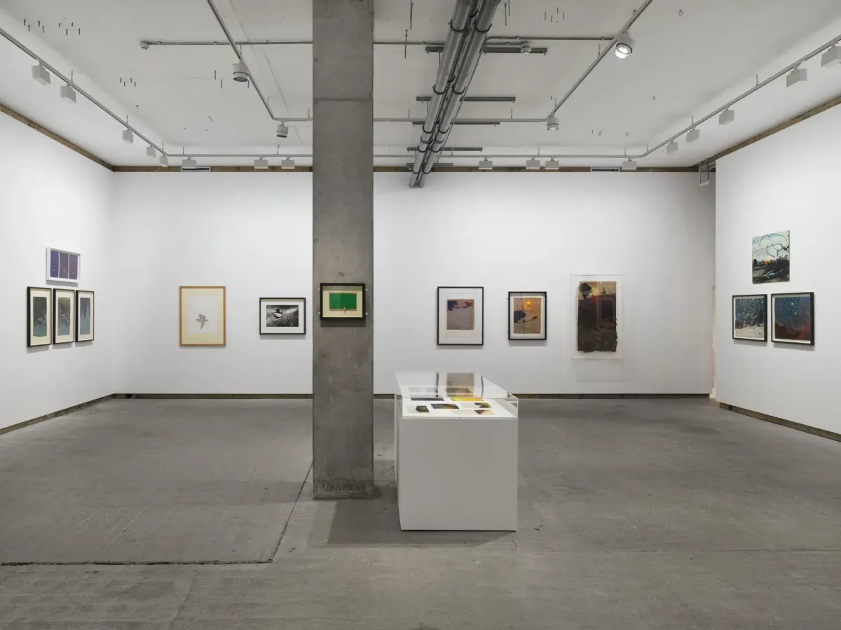 Installation view of Colin Self: Unseen