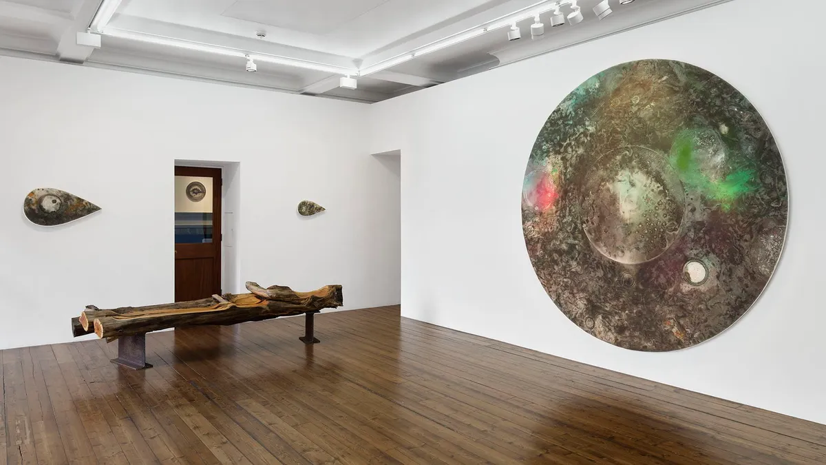 Installation view of Lucy Dodd: The good, the true and the beautiful