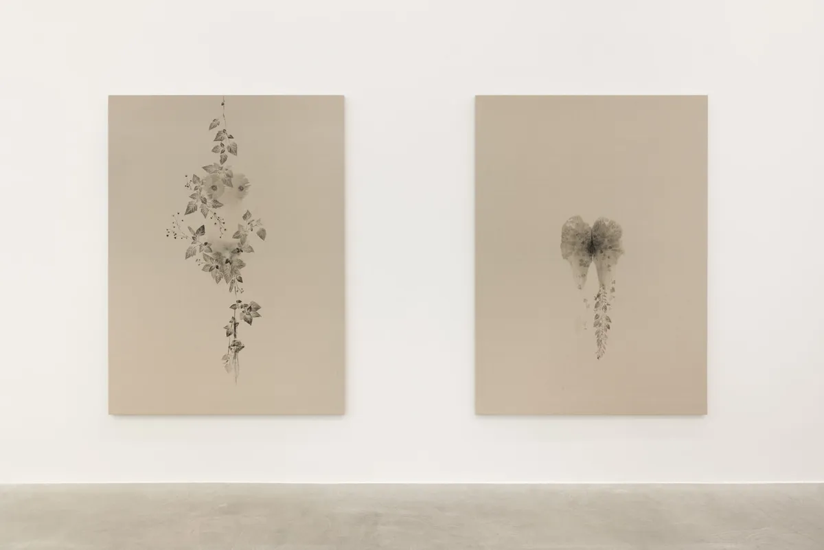 Installation view of Clarissa Tossin: Piante Vagabonde