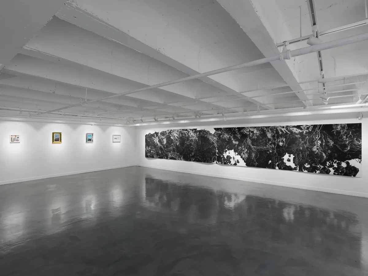 Installation view of Food and Beyond, Beyond Food