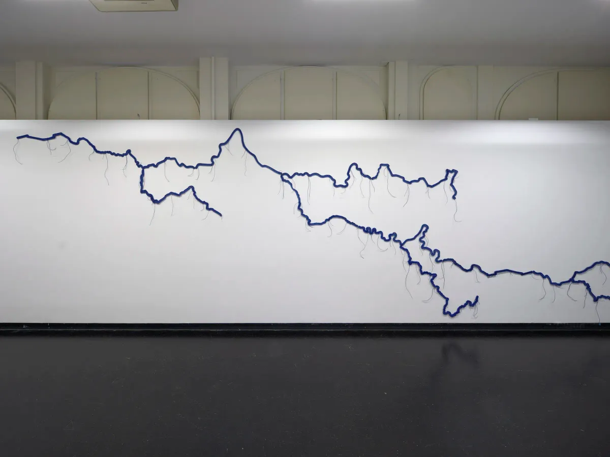 Reena Saini Kallat: Elsewhere is Already Here