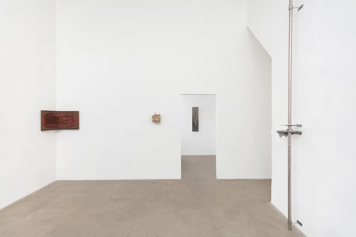Installation view of Tanya Brodsky and Darren Cortez: Modern Things