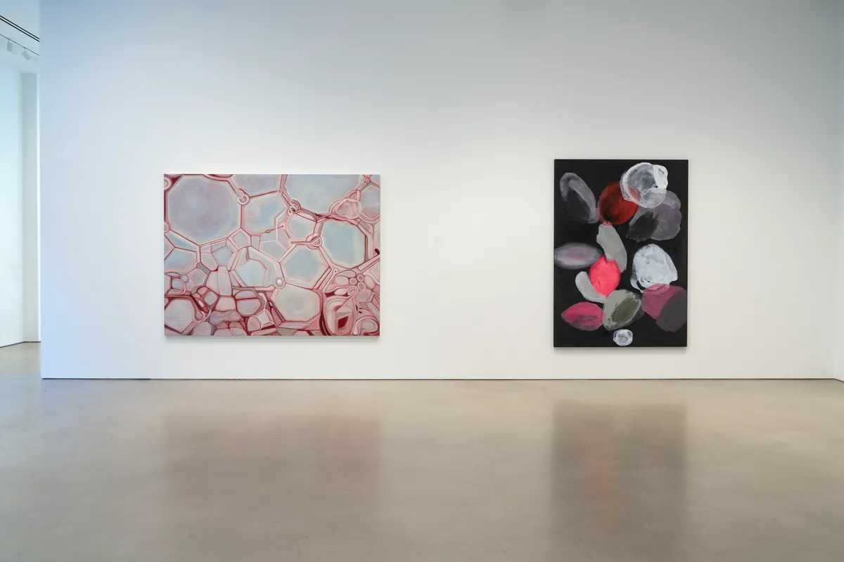 Installation view of Ross Bleckner: Octopus