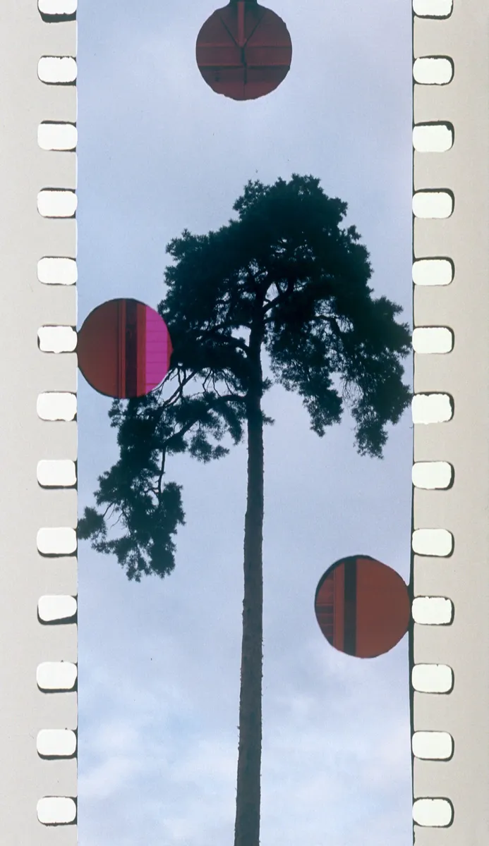 FILM (film still), 2011