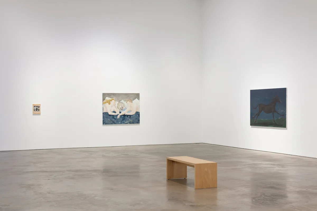 Installation view of Tanya Merrill: Land animal, house animal