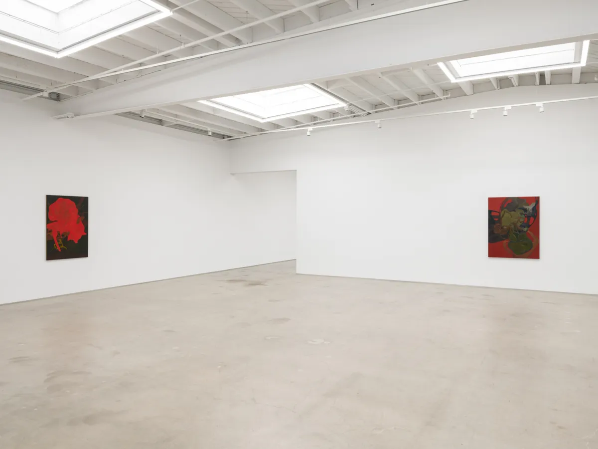 Installation view of Randy Wray: Hothouse