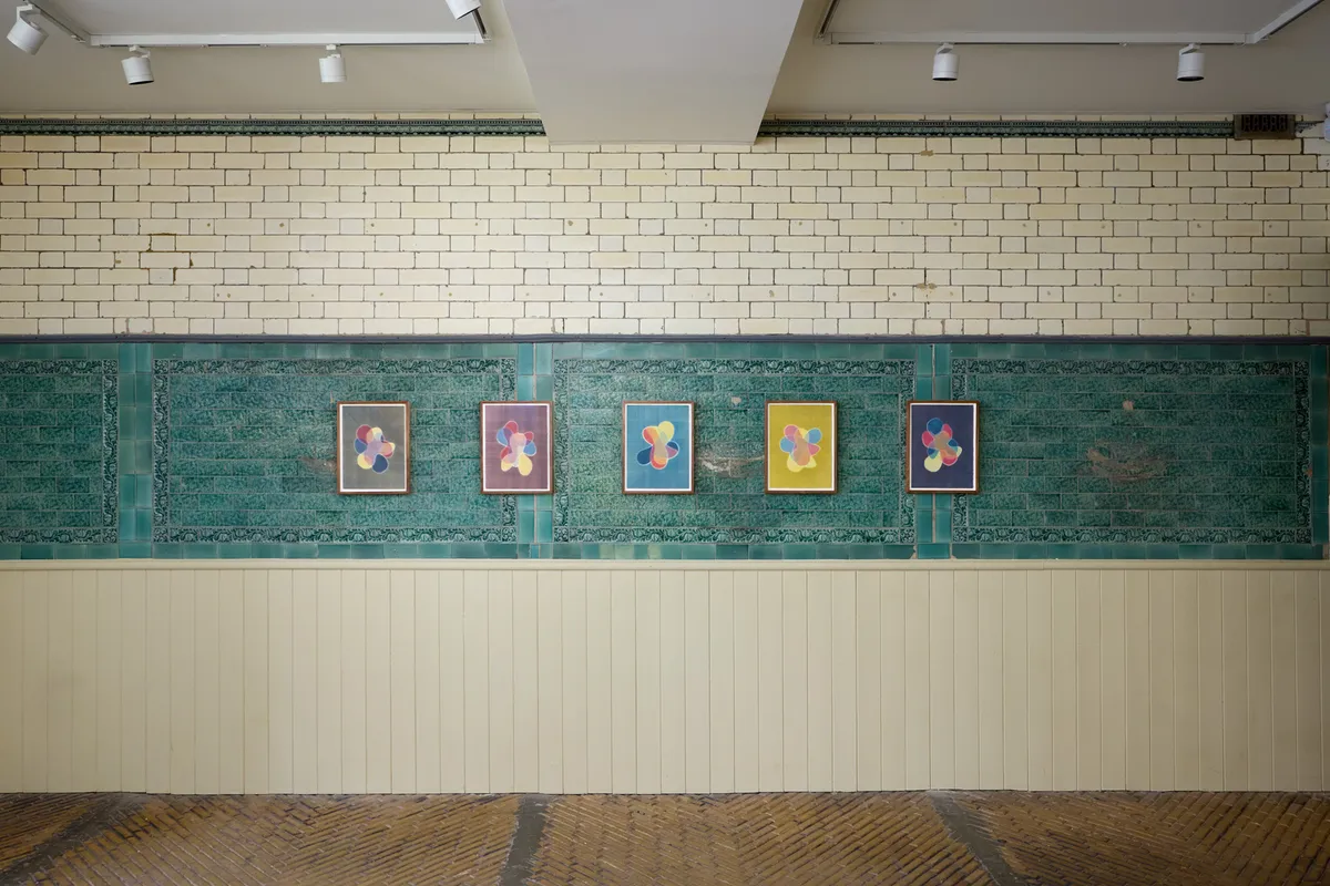 Installation view of David Murphy: Affinities