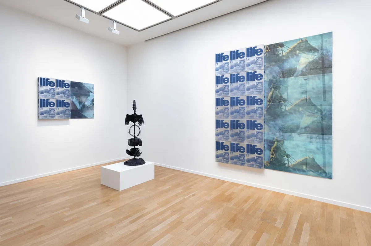 Installation view of Robin Kid: Permanent Display