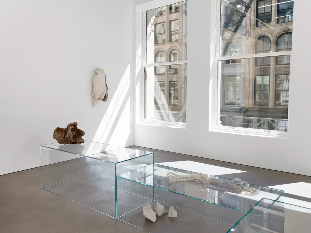 Installation view of Edith Dekyndt: Notes on What is What
