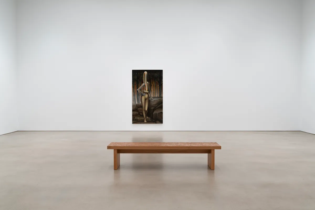 Installation view of Emily Mae Smith: Transit of Venus