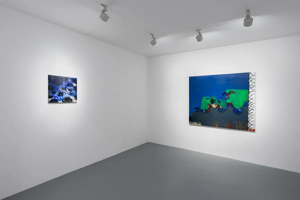 Installation view of Hugo Ruyant: Pastoral Melody