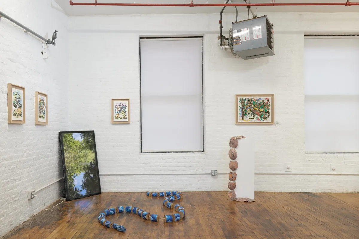 Installation view of The Artist as Practitioner: Offerings to the Nagas