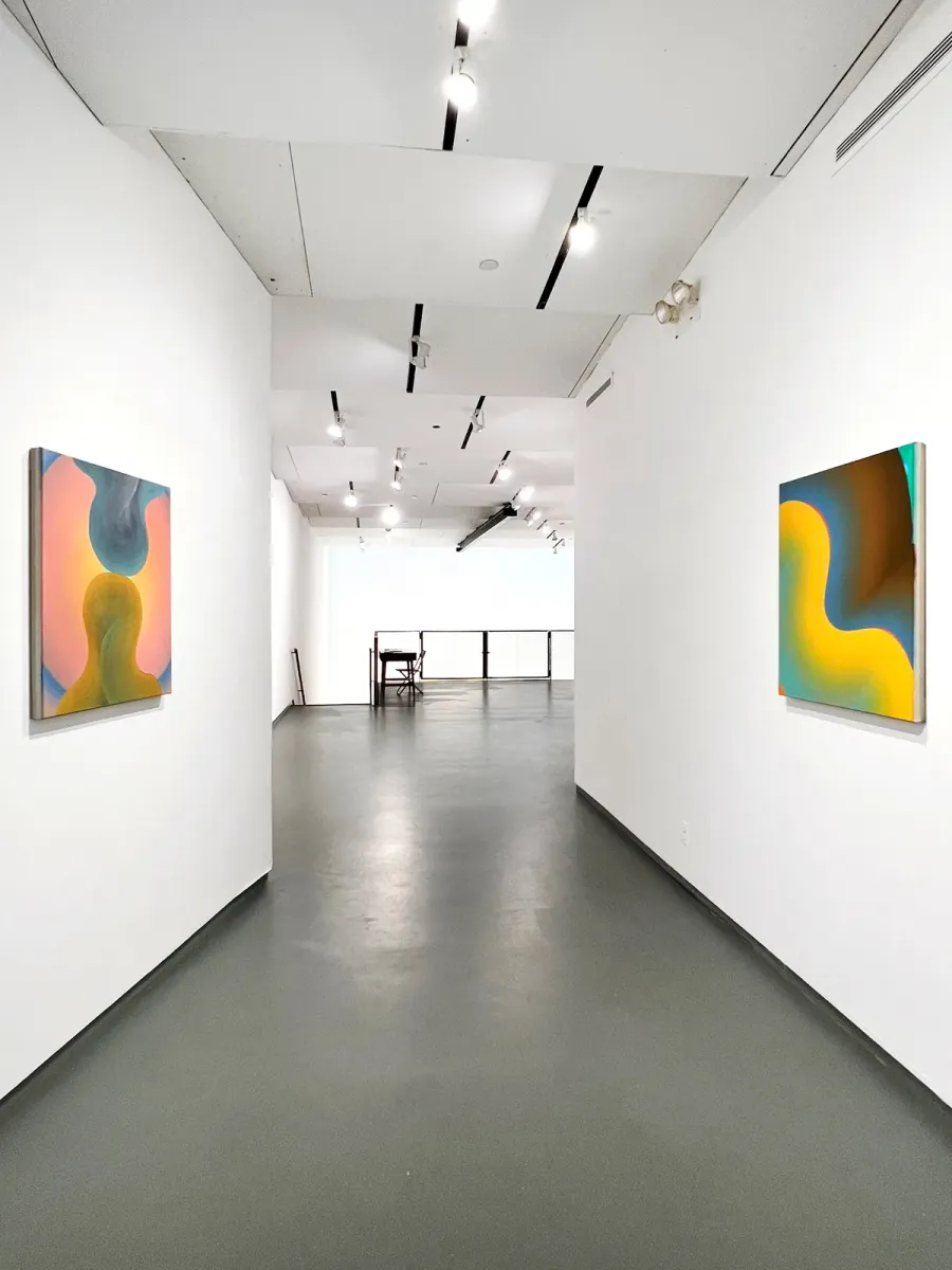 Installation view of Osamu Kobayashi: Cave Painting