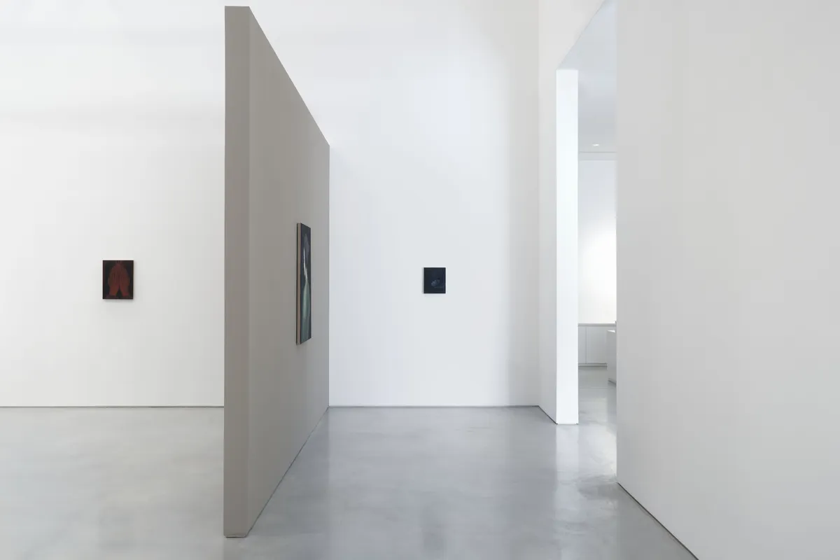 Installation view of Mia Middleton: Summoning Cleo