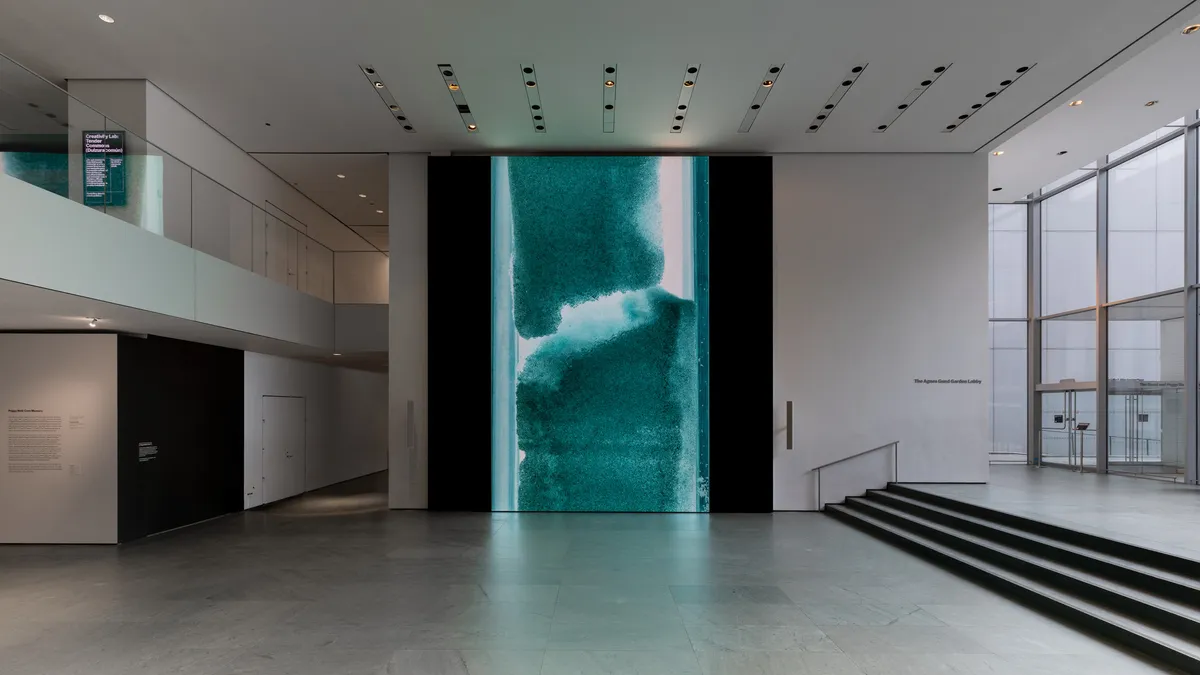 Installation view of Peggy Weil: Core Memory