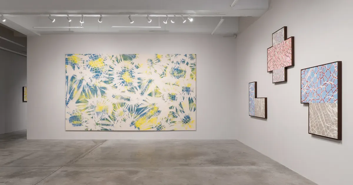 Installation view of Maia Ruth Lee: Double Vision