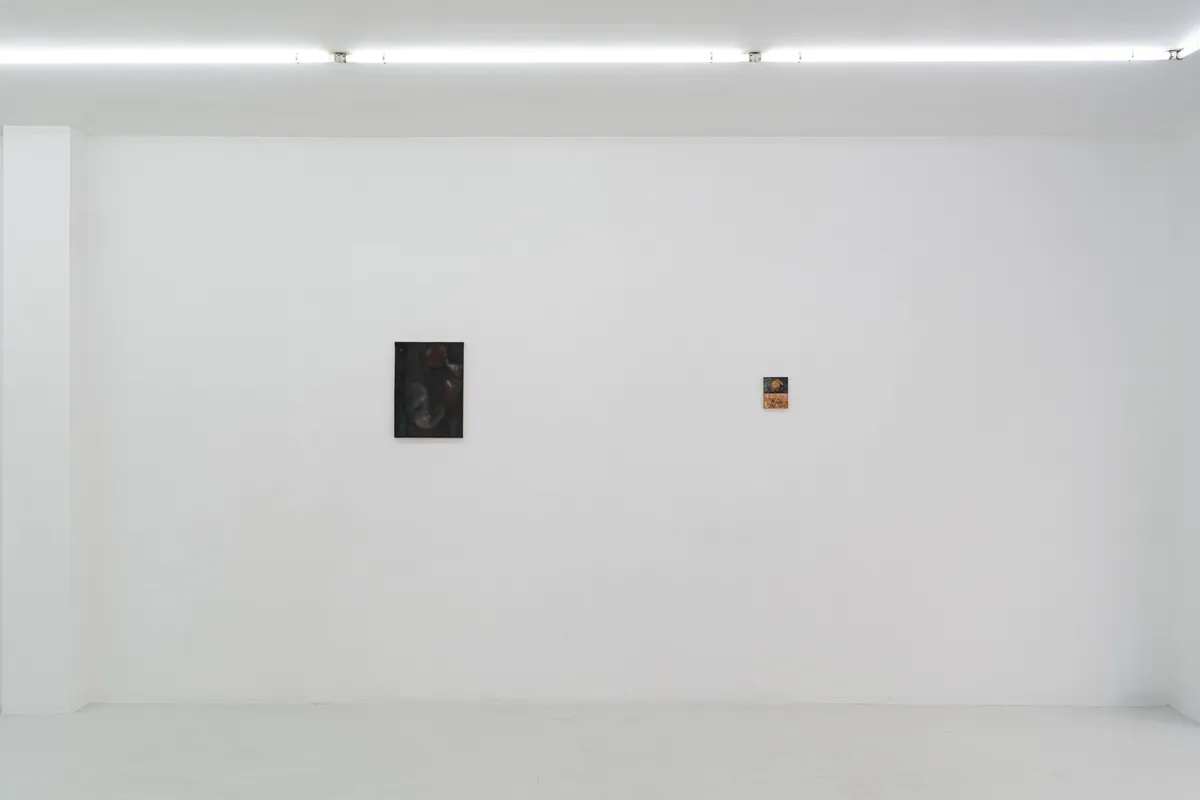 Installation view of Claudio Coltorti: long time, no see