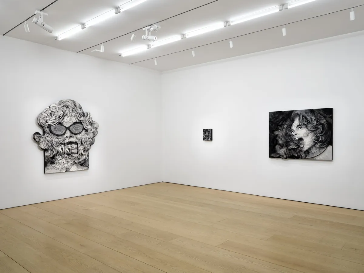 Installation view of Anna Park: House Rules
