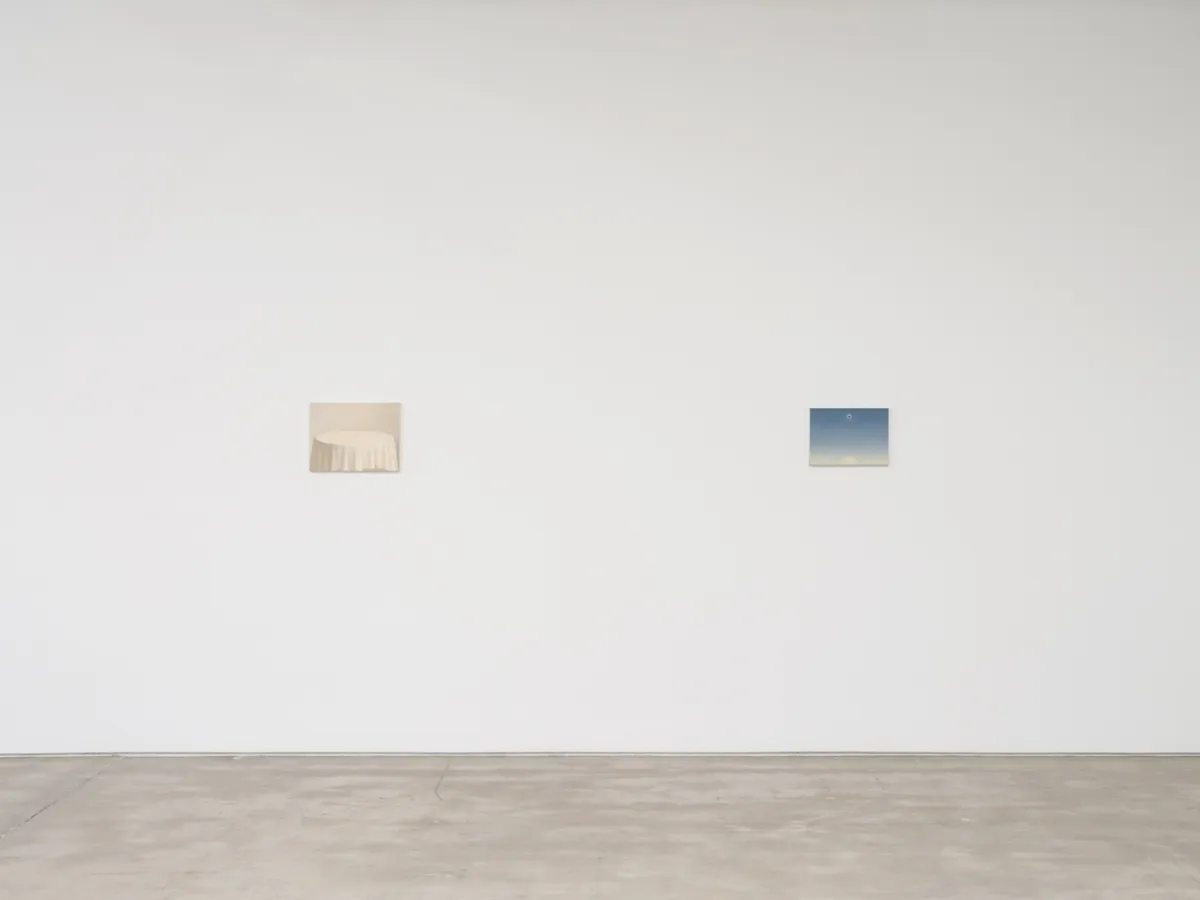 Installation view of Felipe Suzuki