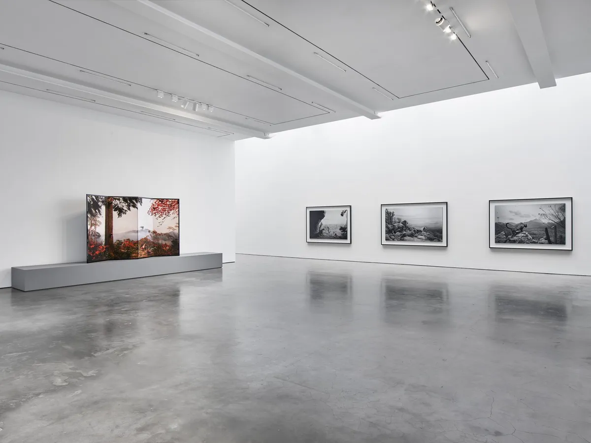 Installation view of Hiroshi Sugimoto: Unnatural Habitat