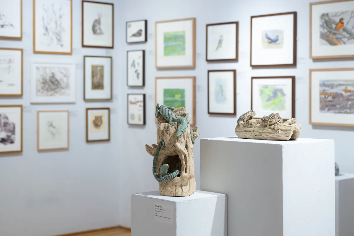 Installation view of The Natural Eye 2026