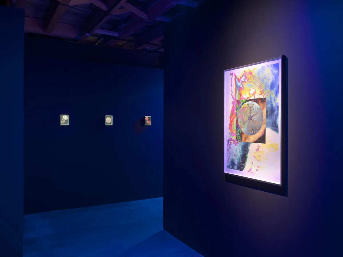 Installation view of LaJuné McMillian: Child/ren of the Bloom