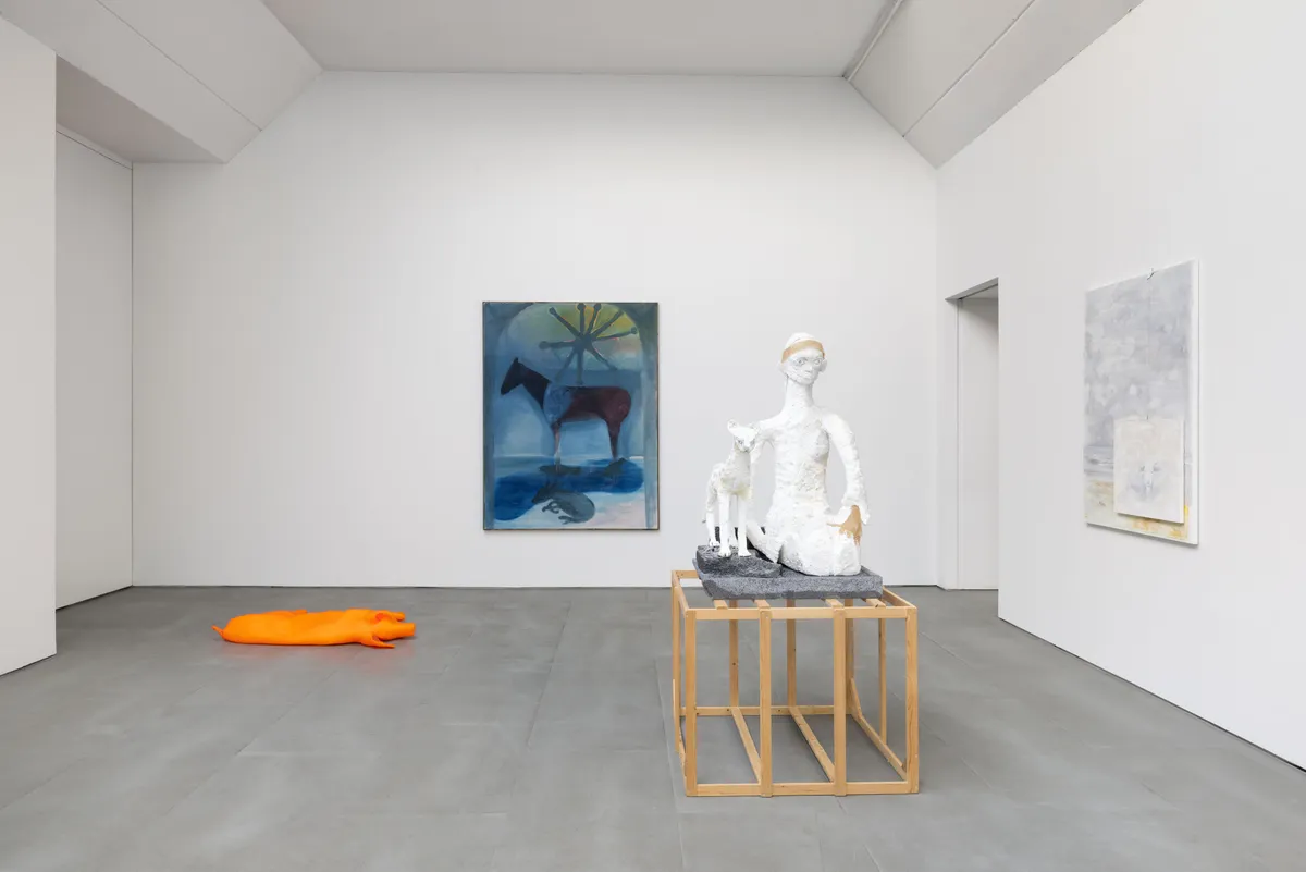 Installation view of Animal Mirror