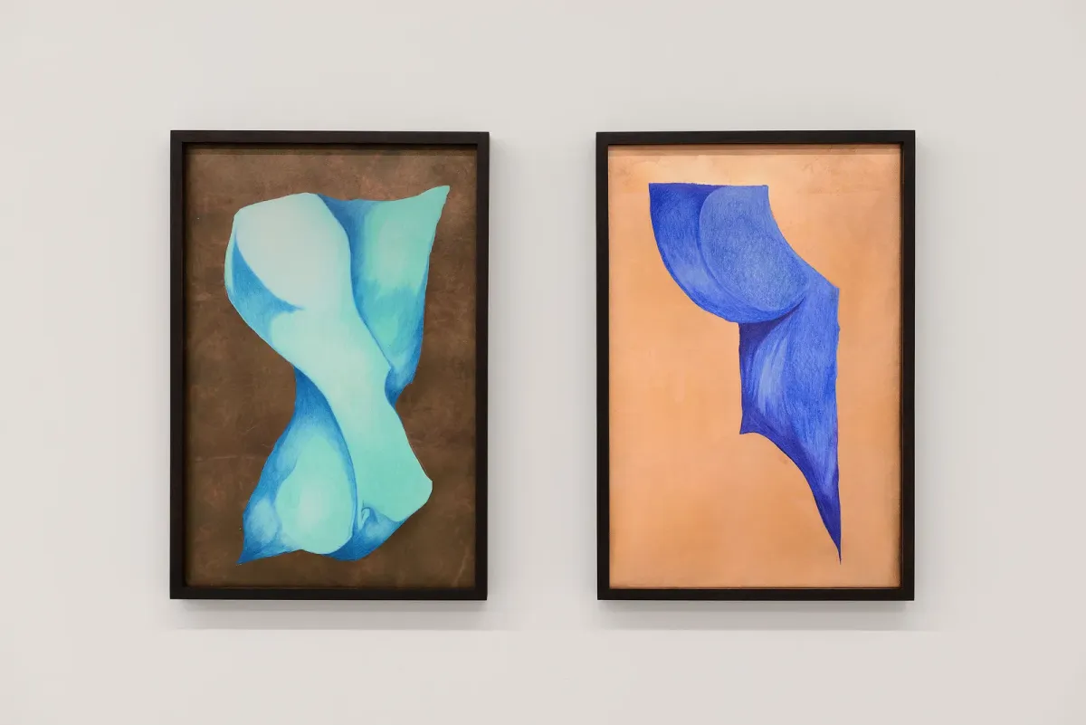 Installation view of Giovanni Kronenberg