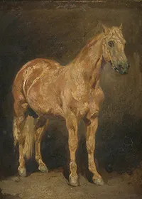 Étude d’un étalon alezan doré (avant restauration)