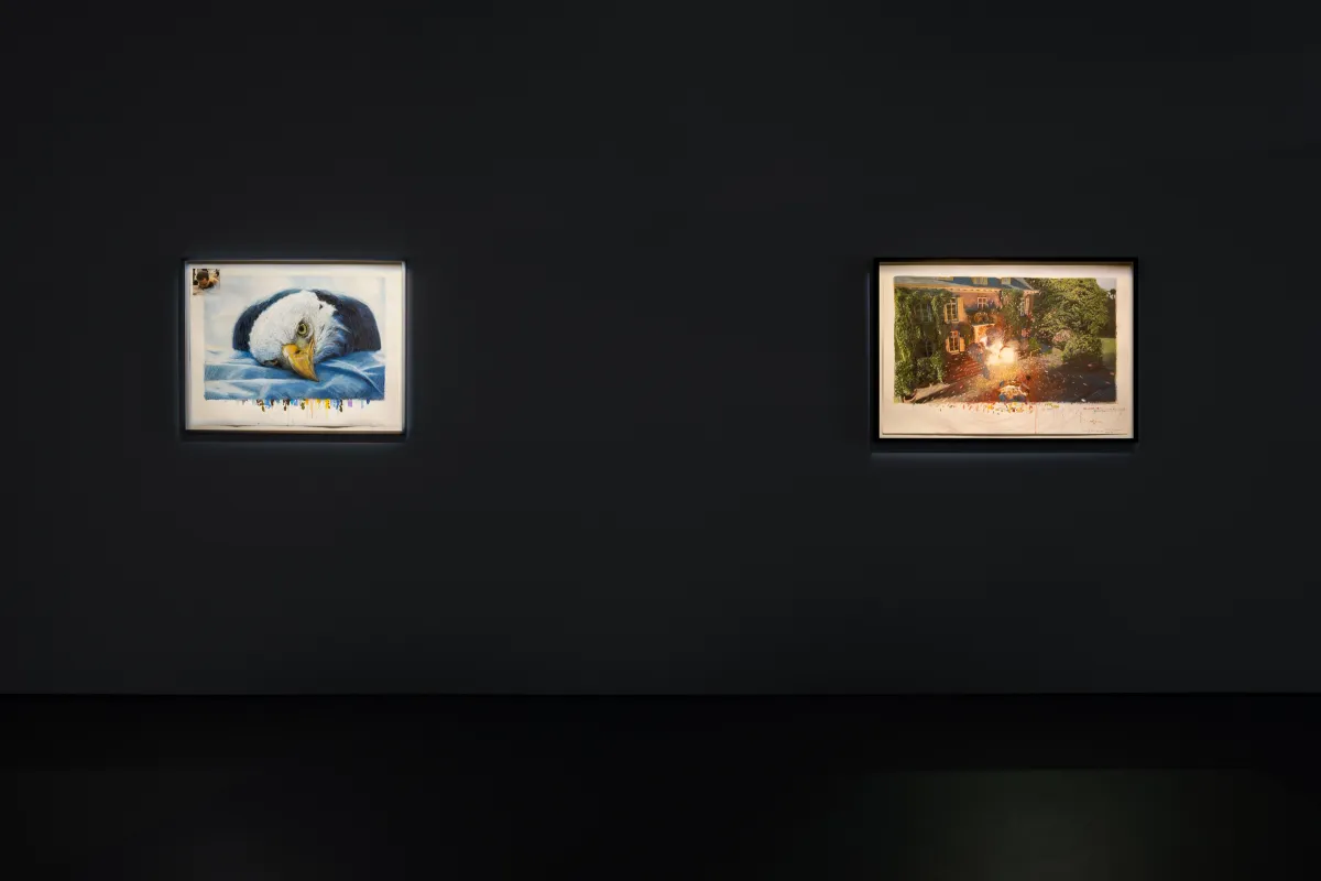 Installation view of David Claerbout: Repose