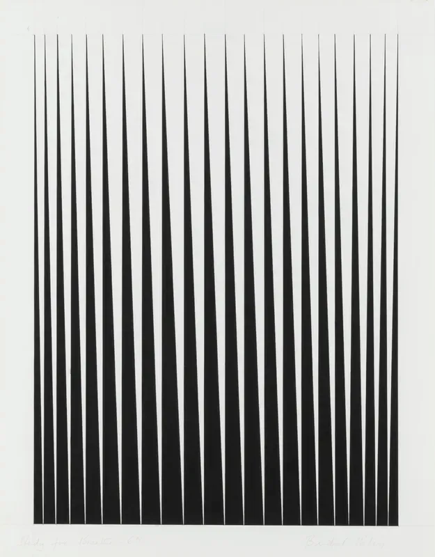 Bridget Riley, Study for Breathe, 1965