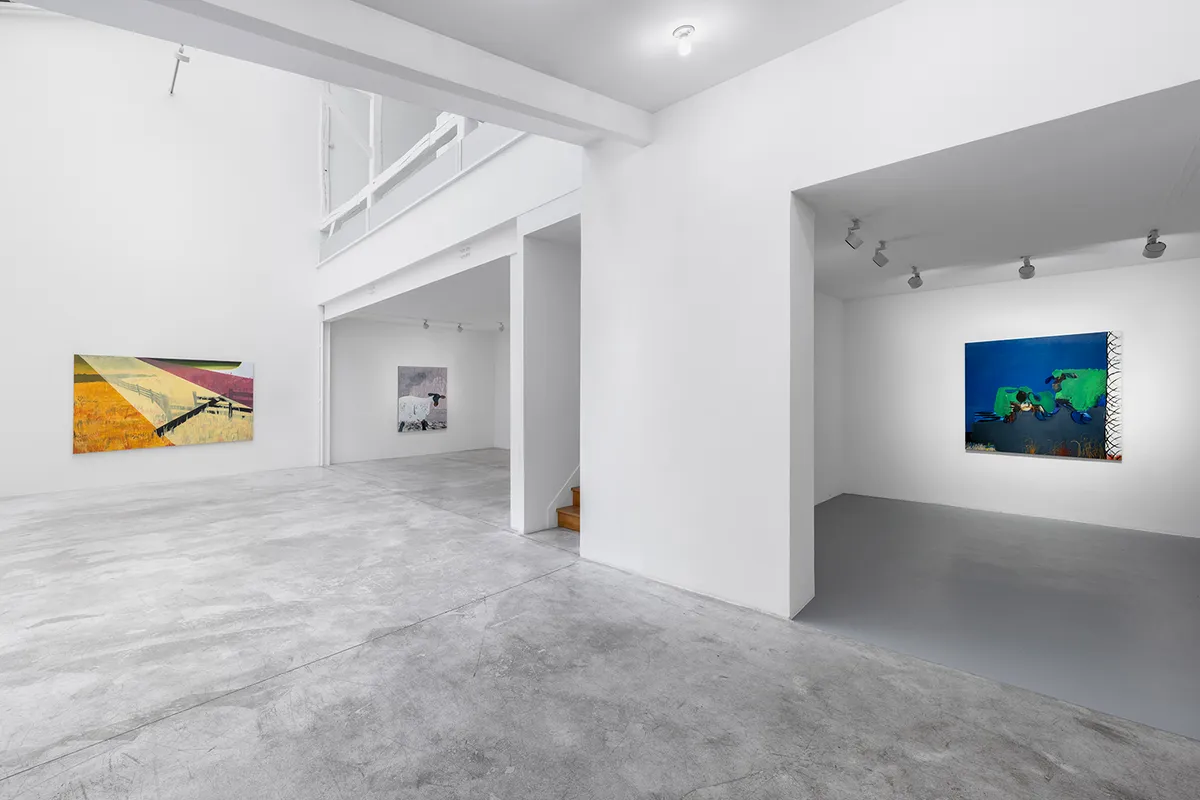 Installation view of Hugo Ruyant: Pastoral Melody