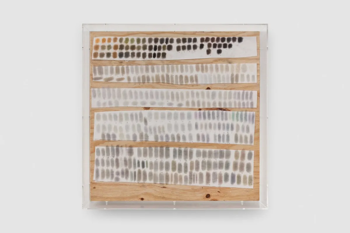 Elise Nguyen Quoc: sous ultra-vide