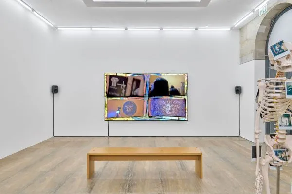 Installation view of Chris Lovasoa Kauffmann: Mammoth Steps