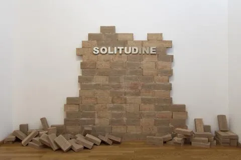 Inés Fontenla, Soledad, 2014