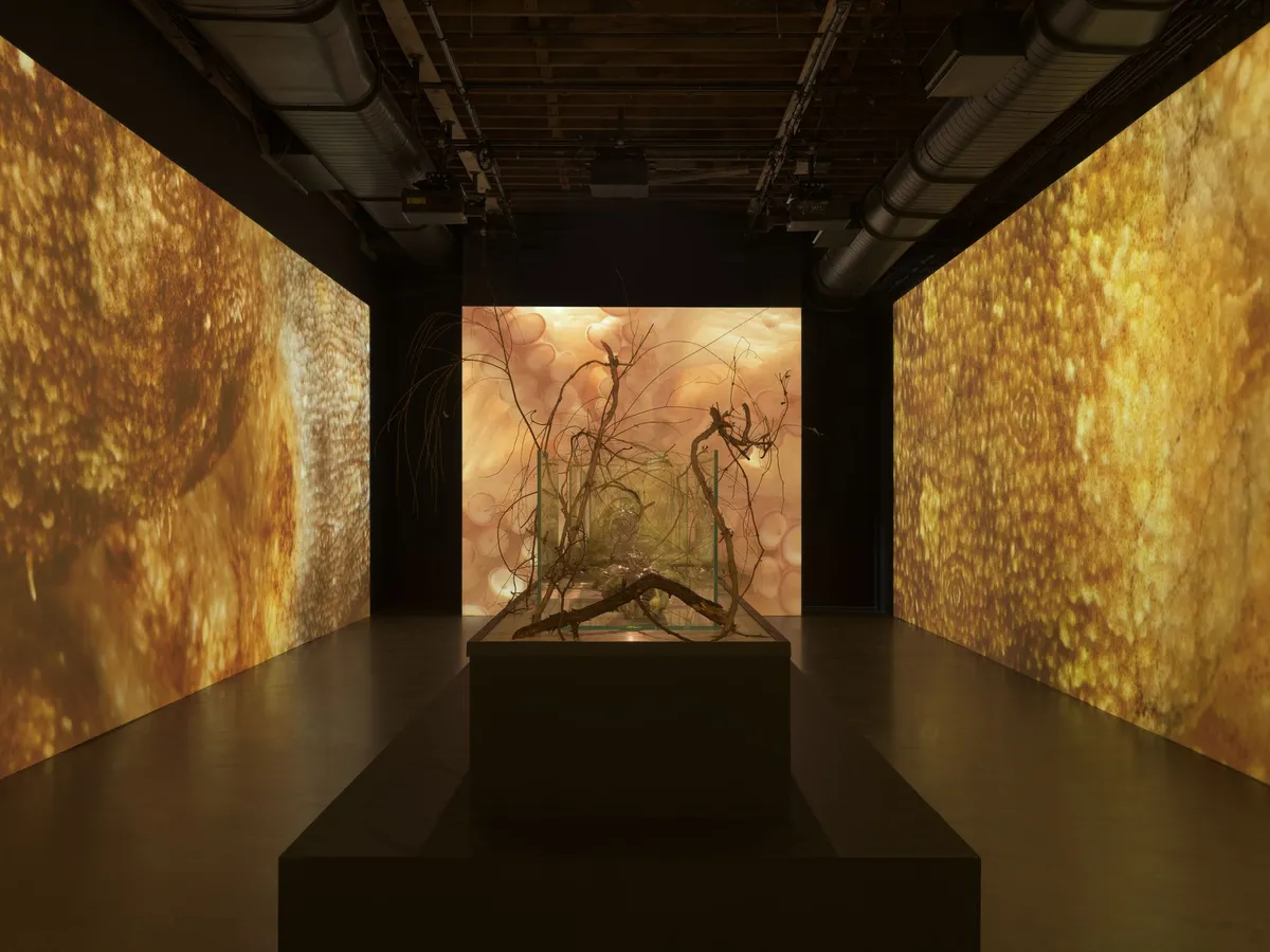 Installation view of Tuomas A. Laitinen: Siphon