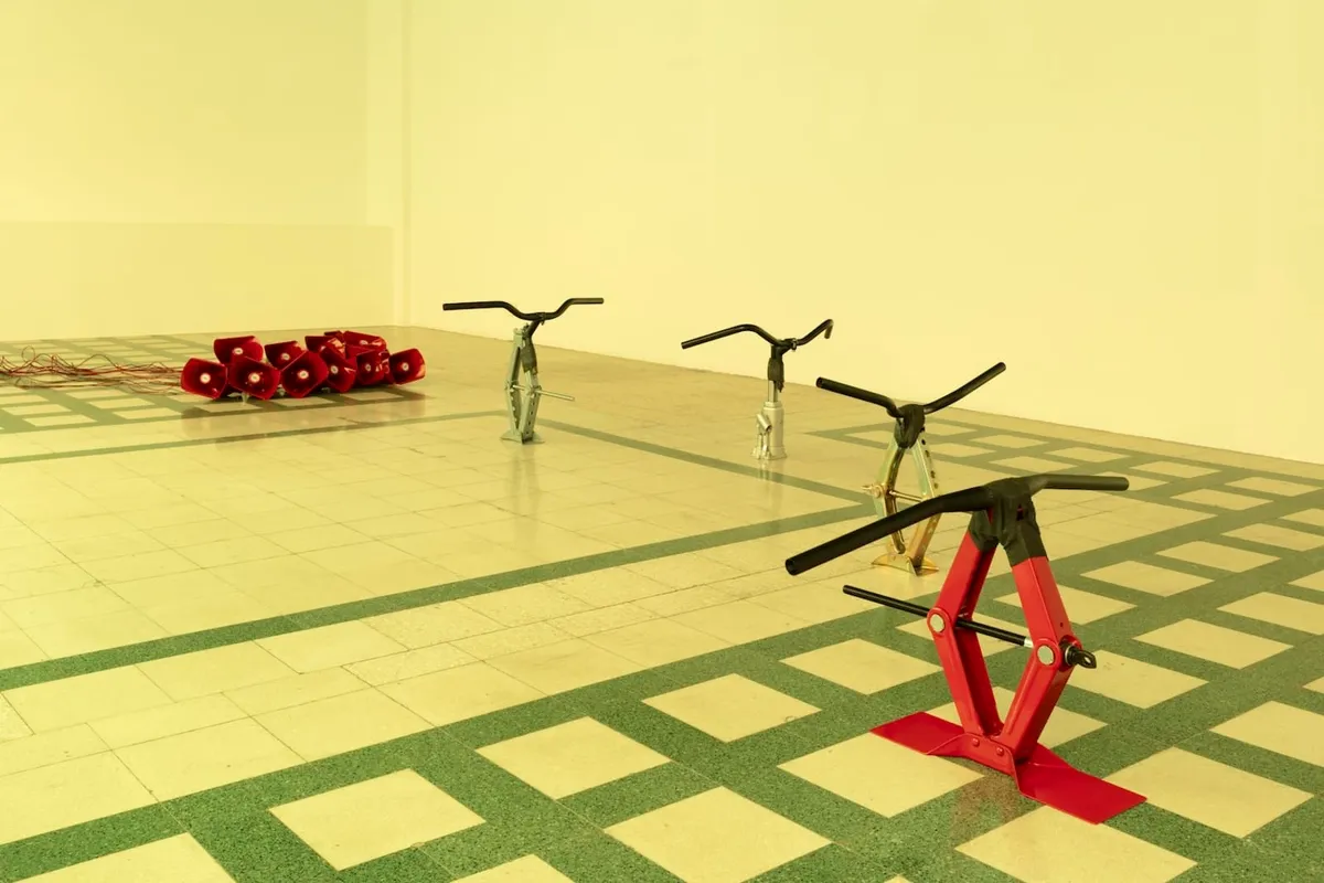 Installation view of Liliana Moro: Metamorfosi