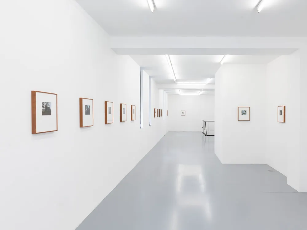 Installation view of Louis Heilbronn: Soft Spot