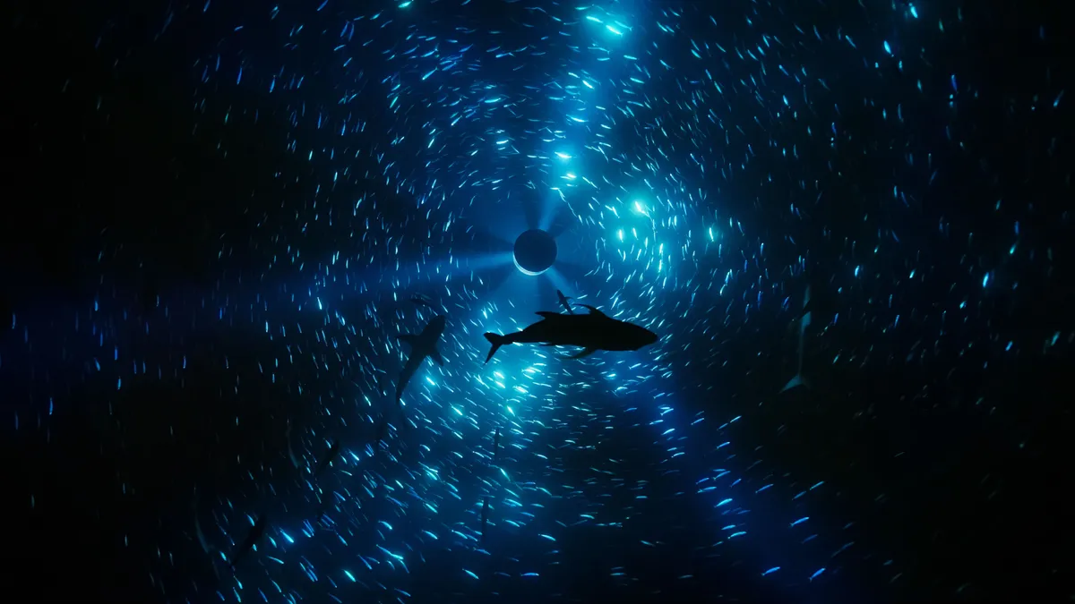 Midnight Zone (still), 2024