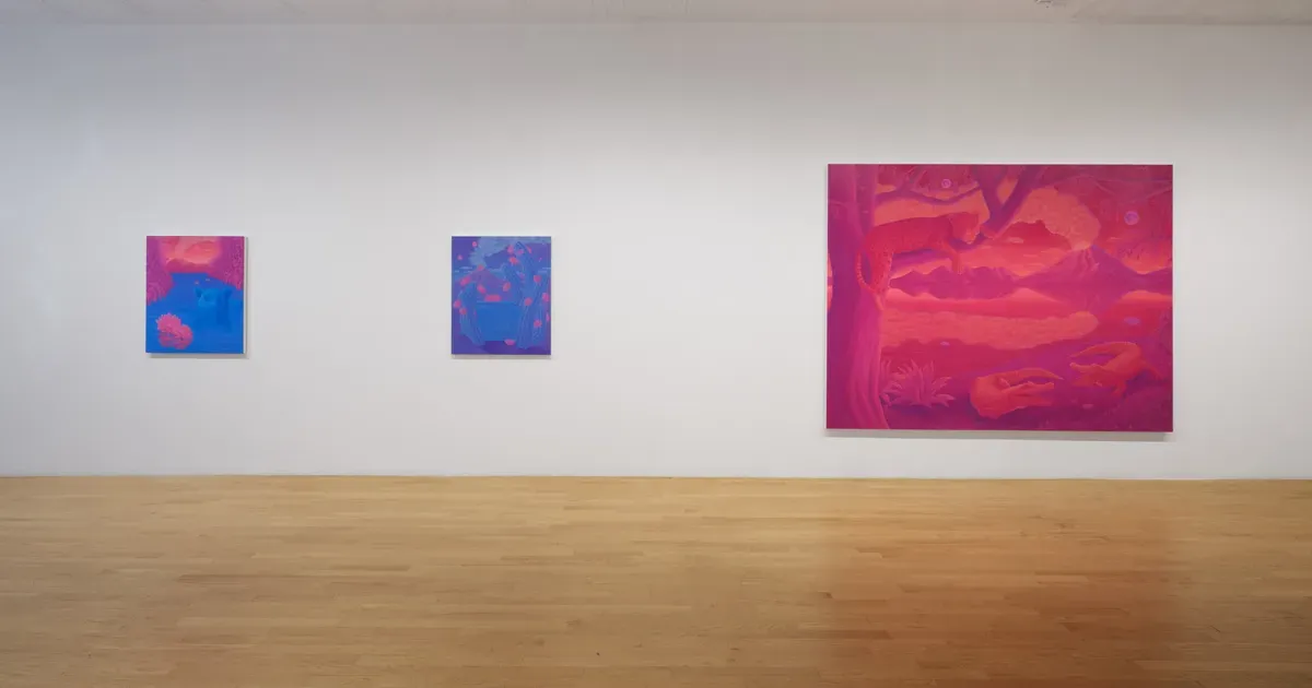 Installation view of Anna Ortiz: Shapeshifter