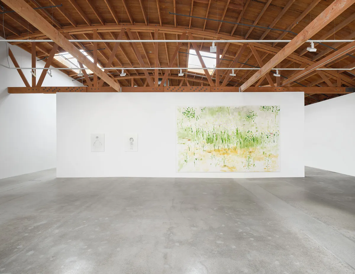 Installation view of Trevor Shimizu
