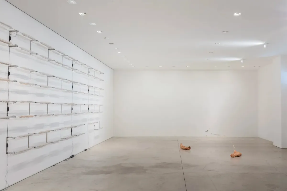Installation view of Daniele Di Girolamo: Per volare serve l'aria