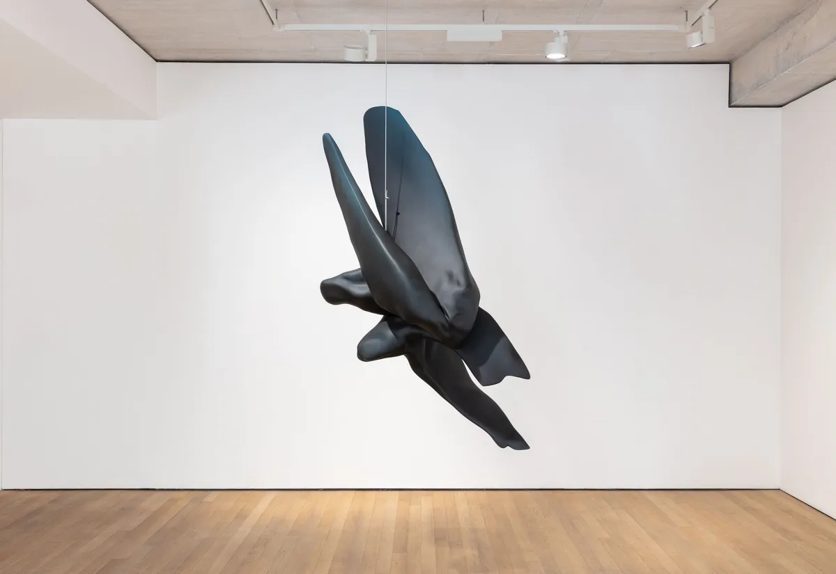 Installation view of Teresa Solar Abboud: Atlantic Ridge Multiplicity