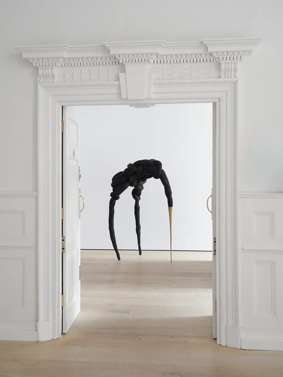 Installation view of Nicola Turner: I Tear Secrets From Your Yielding Flesh