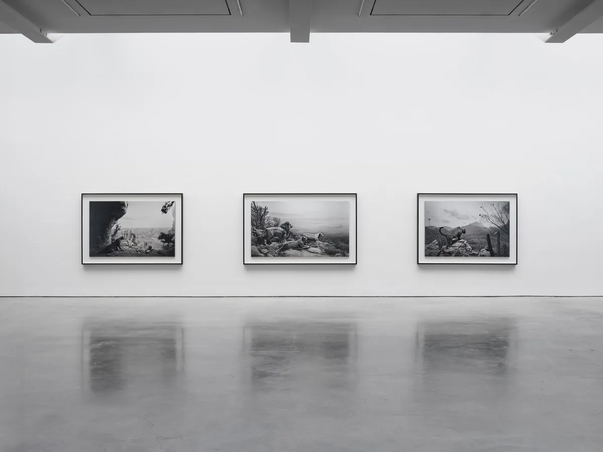 Installation view of Hiroshi Sugimoto: Unnatural Habitat at Lisson Gallery