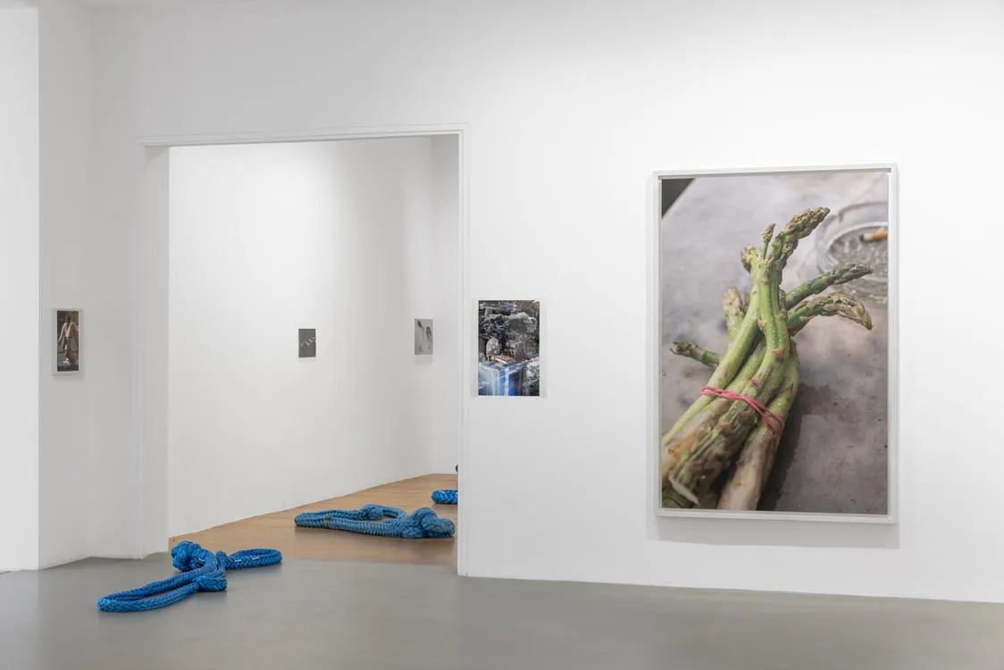 Installation view of Wolfgang Tillmans: Glade / Clairière